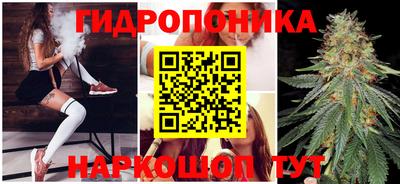 MDMA Камышлов