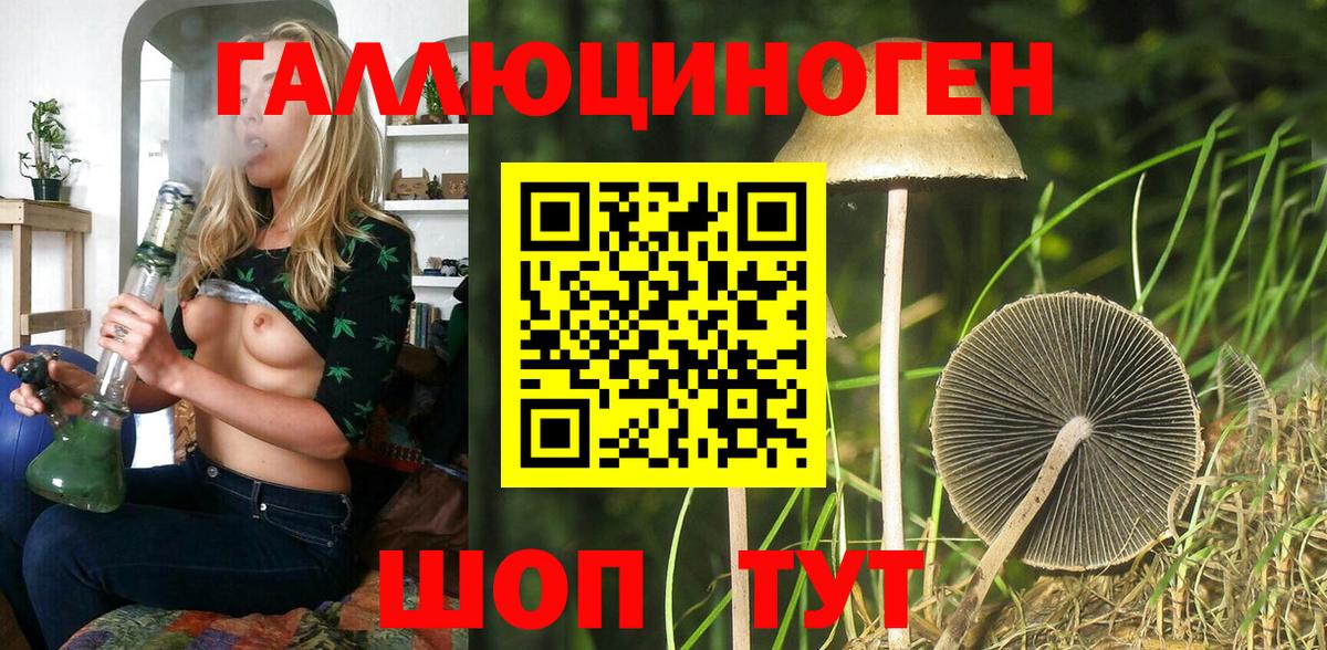 Галлюциногенные грибы Cubensis  Псилоцибиновые грибы Magic Shrooms  Королёв  Вход с VPN 