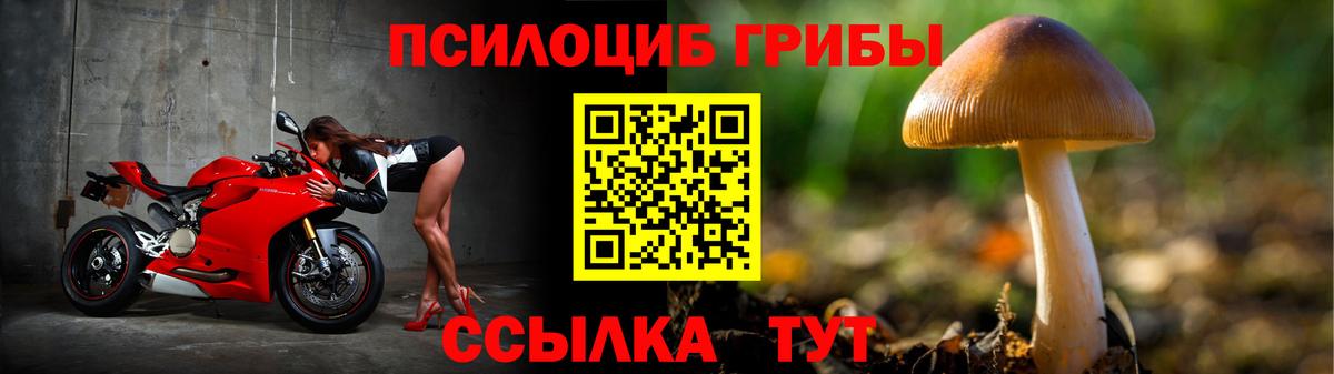 Псилоцибиновые грибы GOLDEN TEACHER Королёв